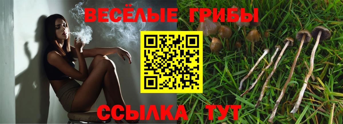 Галлюциногенные грибы GOLDEN TEACHER  Вход с VPN  Октябрьский 